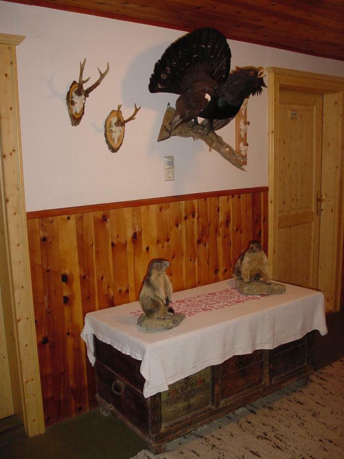 Pension - Bauernhof Sankt Lorenzen ob Murau Exteriér fotografie
