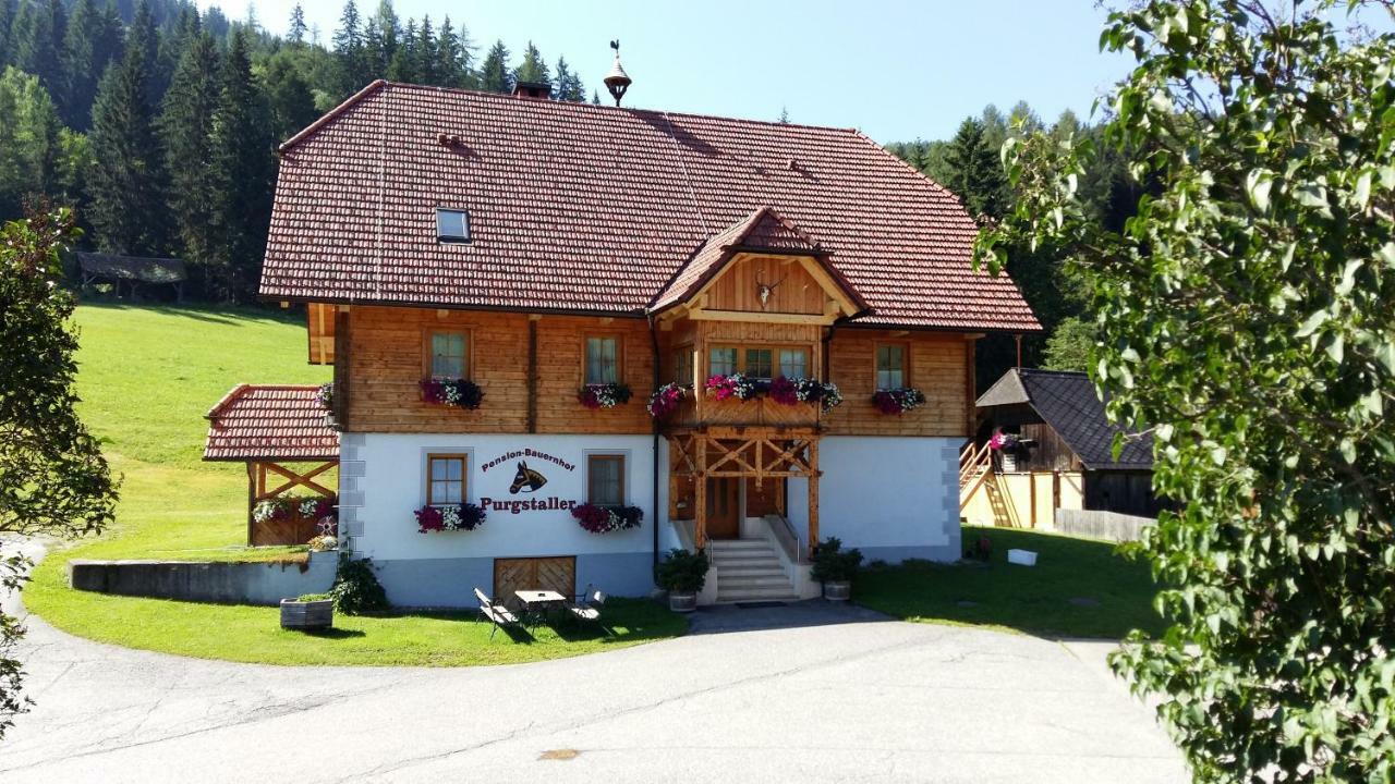 Pension - Bauernhof Sankt Lorenzen ob Murau Exteriér fotografie